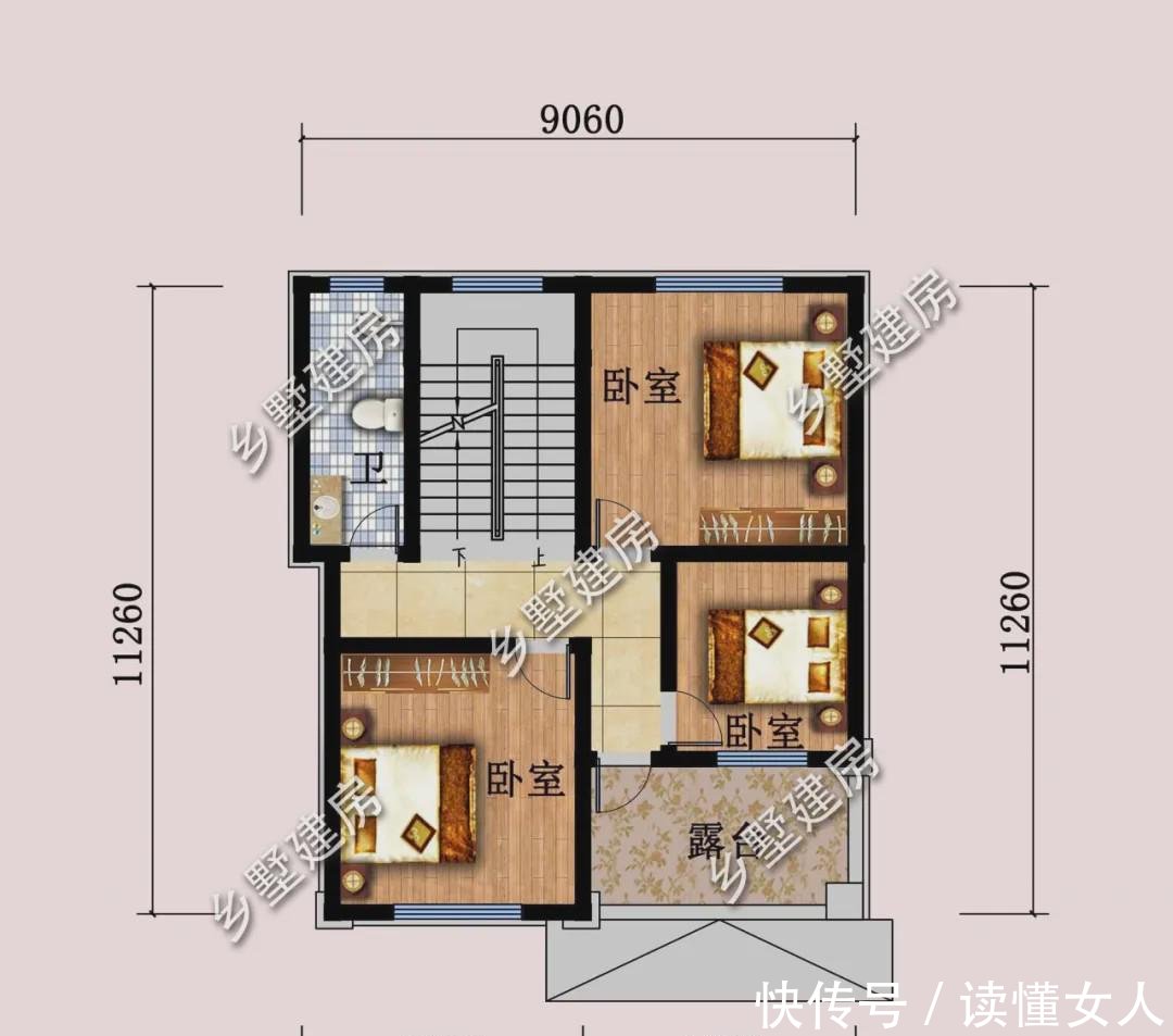  [呼吸功能]兰花最怕怎样的光照记住这5种太阳不要晒，随便养也不会错