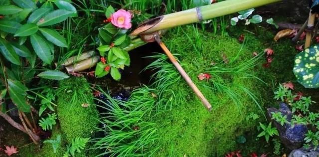 庭院入户常见景观的风格选择