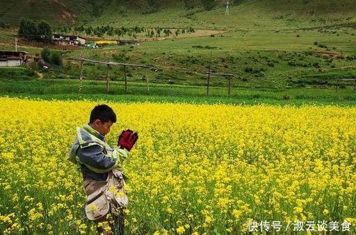孩子带着父亲骑行去西藏，一共生存44天，衣食住行全是自己做主！