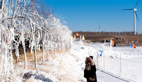 一网30万斤！查干湖的鱼越捞越多？渔民哭诉：看这群人都干了啥