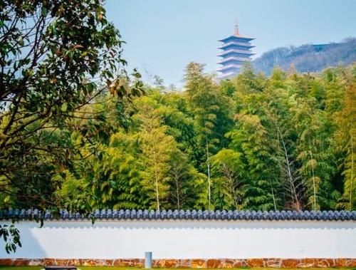 中国最“奢华”寺庙,占地900亩耗资40亿,藏有唯一的佛顶骨舍利