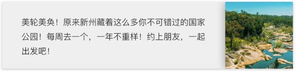 被绑架的中国女孩找到了!真凶是其父母!不买账的网友怒了:"