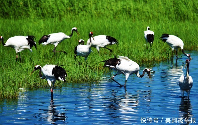 我国“最美”的5大自然景点,个个美如仙境,你去过哪几个?