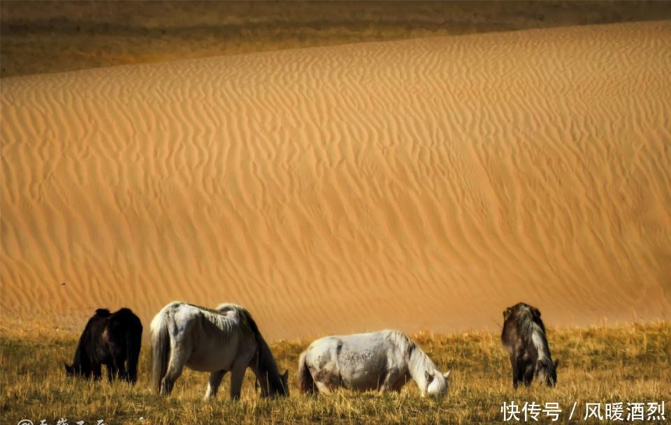雅鲁藏布江源头的这片五彩沙漠,凄美、奇幻!