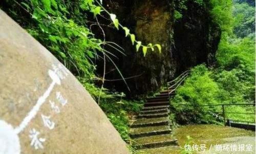 走,去巴中!巴陕高速通车,“贵妃荔枝道”变川陕两省大动脉!