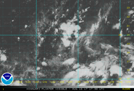 “秋老虎”要来？还有两个台风正在生成，本周天气是这样的