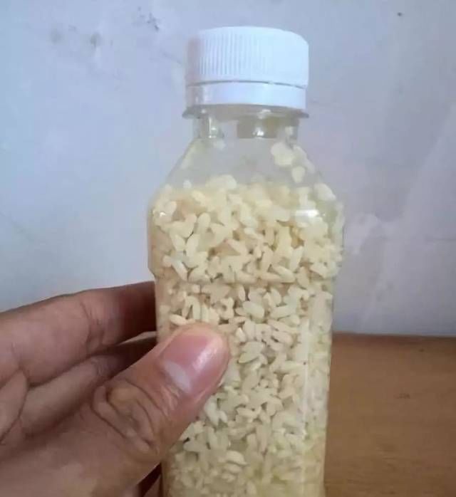  [江河]钓草，鲤鱼的秘制药酒蚕蛹饵，江河湖库亦有神效！