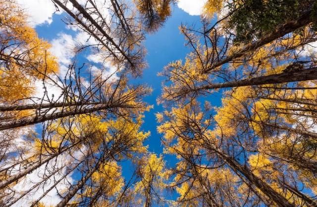 专属于十月的旅行目的地 你知道几个?