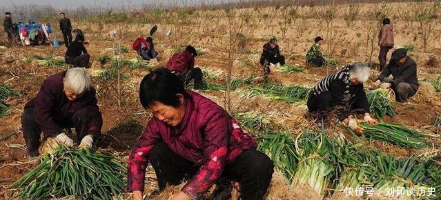 农村有4种人，农民一般不敢惹，前两种国家要整顿，每个村都有！