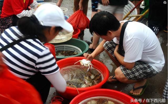 青岛海鲜早市，梭子蟹开始上市，价格逐渐走低，活蟹25元一斤