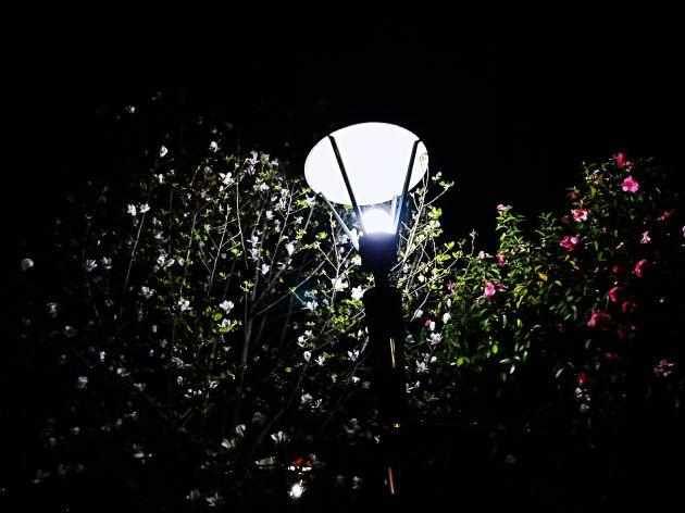  「暗夜」暗夜幽灯下的迷醉