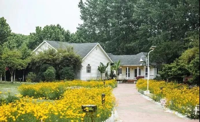 拒绝人多从众:在街巷漫步中感受秋日南京的美!