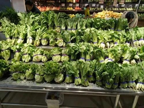  米面|太庆幸过年回老家了，家里有米面，地里有蔬菜，还是农村老