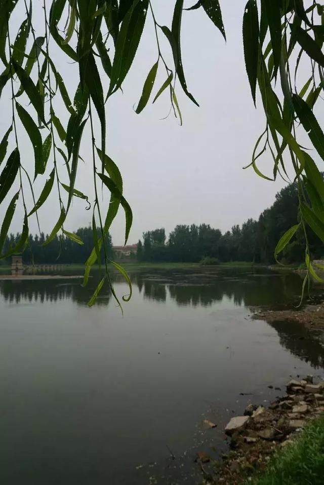 淄川磁村刘瓦水库看钓鱼_【快资讯】