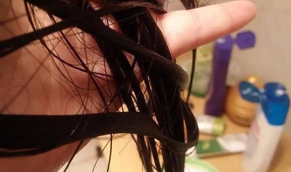  早上■早上洗头，还是晚上洗头好？多久洗一次头才最好？不少人都洗错了