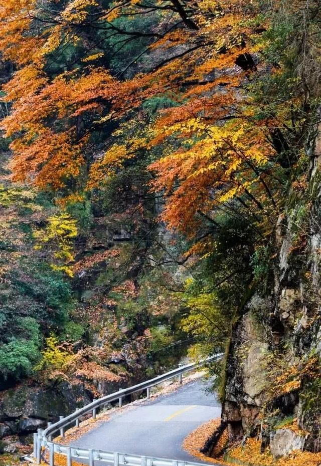 金秋十月遇见最美的风景，中国最美的8处秋季旅行目的地值得一去