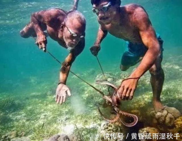 最后的海洋游牧民族,8岁就会出海捕鱼,能在海底自由行走