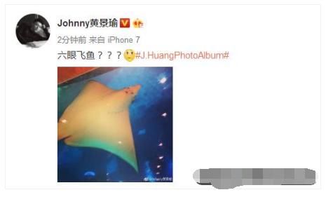 黄景瑜连发数十条微博，护鲸团已疯，网友：你是被盗号了麽！