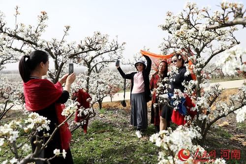  「旅游」商城：遍地花开待客来