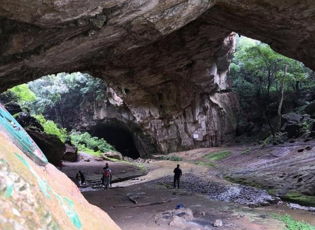 曾被央视表扬的小山村，稻谷种出各种图案，惊艳了每一位游客