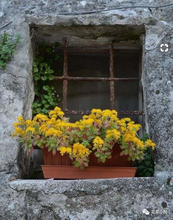 择一处小院，活一世风景！
