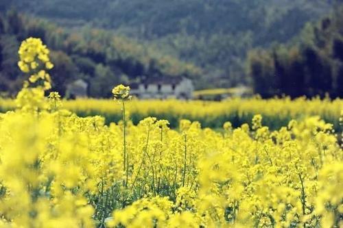 一旦去了这些地方，其他就都成了将就！