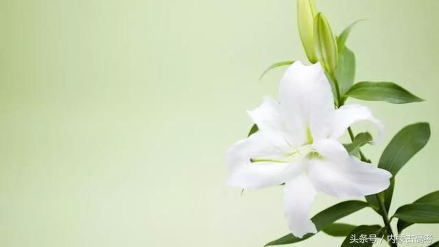 这些大学专业就业前景比清华北大还牛