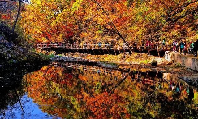 十月出门赏秋去！中国最美的8个秋景圣地全在这了
