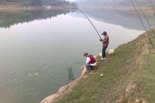 『情况』不打窝渔获好,打窝后反而没渔获,到底是什么情况