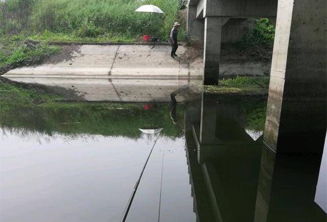  这方面■今天钓鱼把人得罪了，好像关于钓鱼的这方面，最容易得罪人了吧！