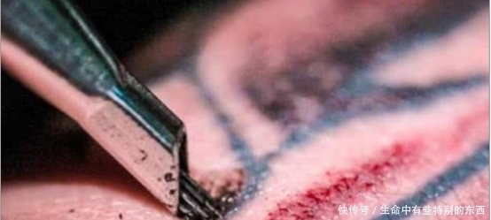  [皮肤]“纹身”到底有多疼？显微镜放大50倍后，看完后背发凉！