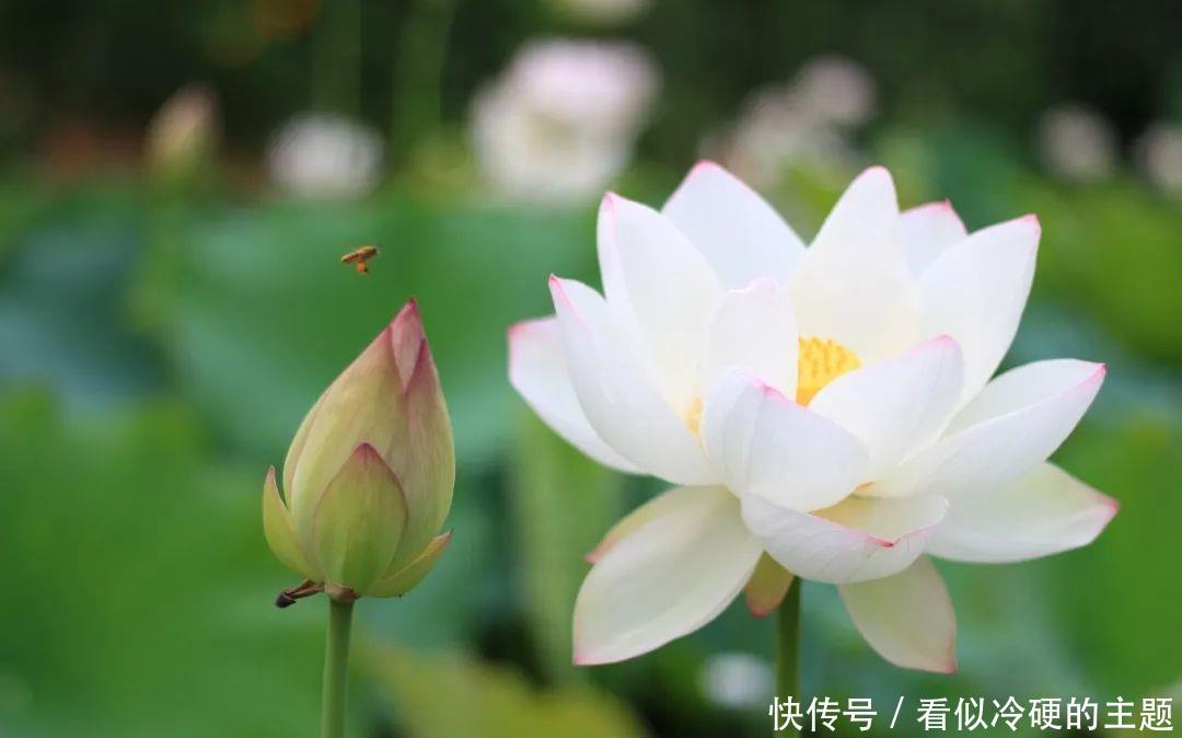 十首大暑诗词:何以销烦暑,诗中寻清风