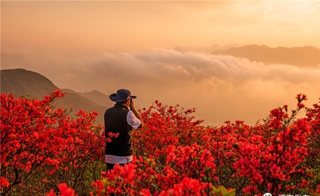 『枫树岭镇白马乳洞山』此景只应天上有!淳安这里美得“惊心动魄”……