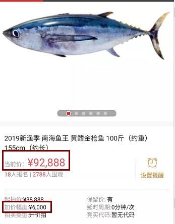 三亚渔民抓到一条鱼，有人出价92888元！它稀奇在哪？