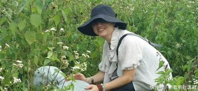 农民不出门打工，在家种植这种普通蔬菜，亩产5吨