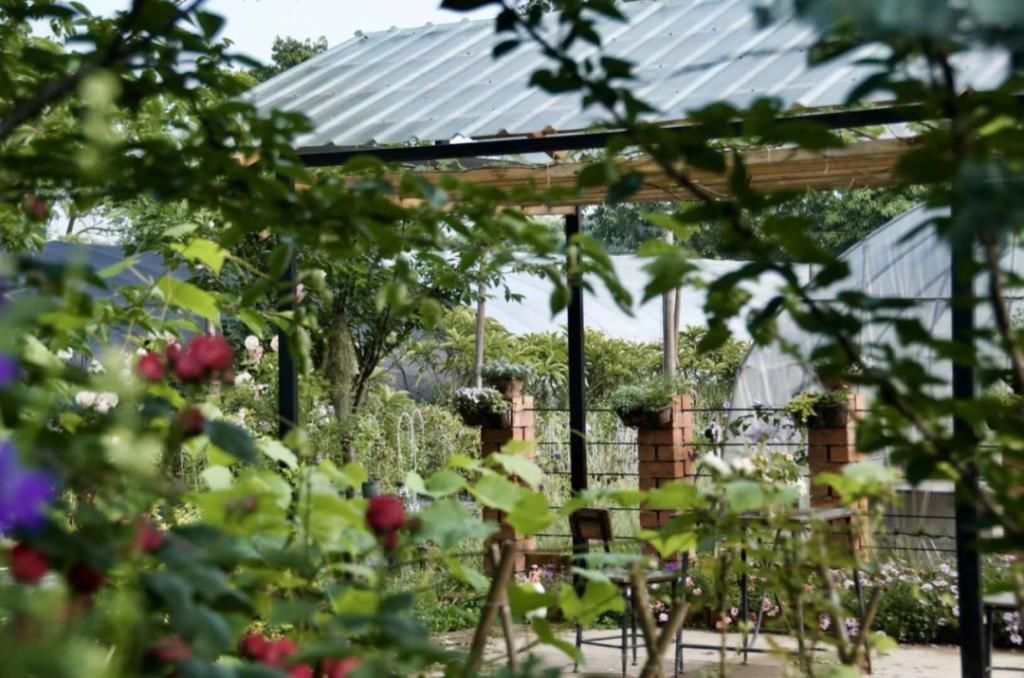  『辞职』从银行辞职做“花农”，她打造的花园超治愈