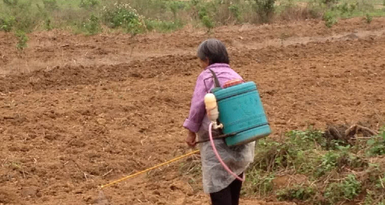  [改革]农民有福了：2019年农村土地回收改革，一亩拿30万补偿款