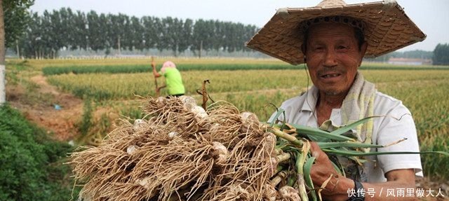 农村人种植的这种作物卖到12元1斤 农民却没有获利