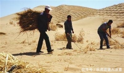 了不起! 中国治沙人 每天喝掉十几斤水, 治沙成就让世界都叹服
