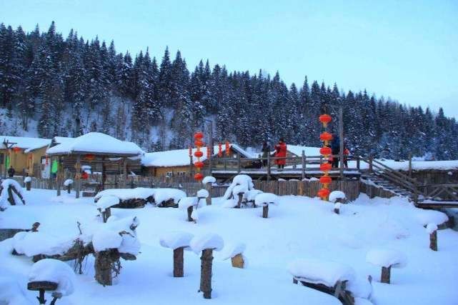 都说雪乡最坑，是因为还没吃3元一根的面条，游客:家里没矿别去