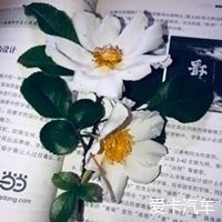  在家：喜欢上在家做的每一件事