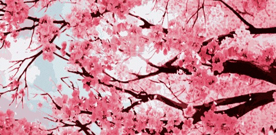 气温跌至谷底，伴随大风和降雨！好消息是，马上又要放假了