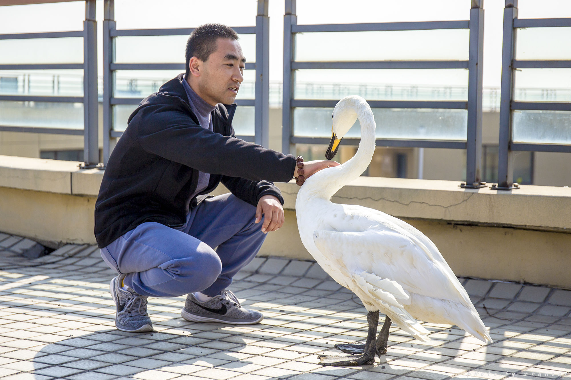 东营丨走过沧海桑田，终是在芦花飞雪的秋日遇见你