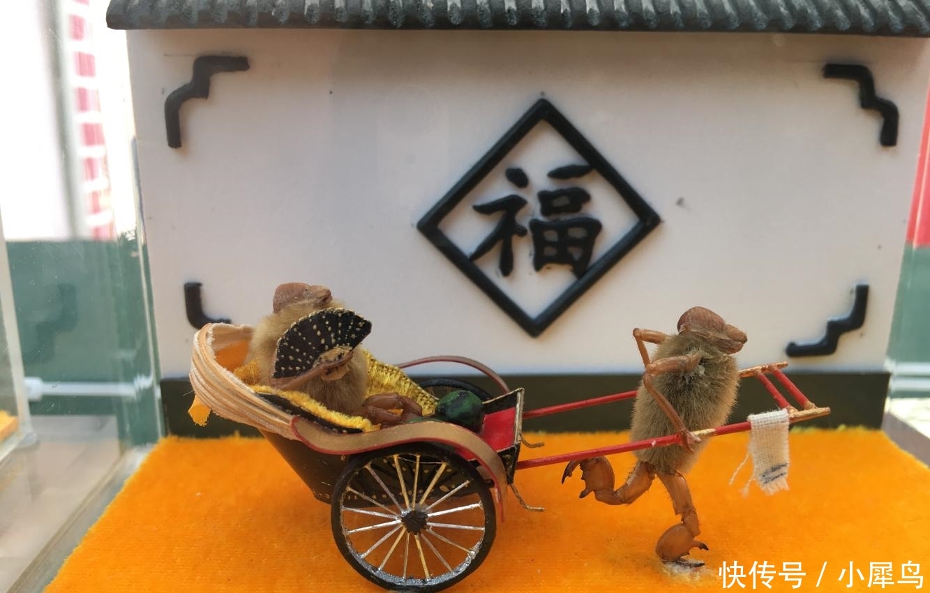 山东大叔用蝉蜕皮做“毛猴” 单个售价上百元却不售卖