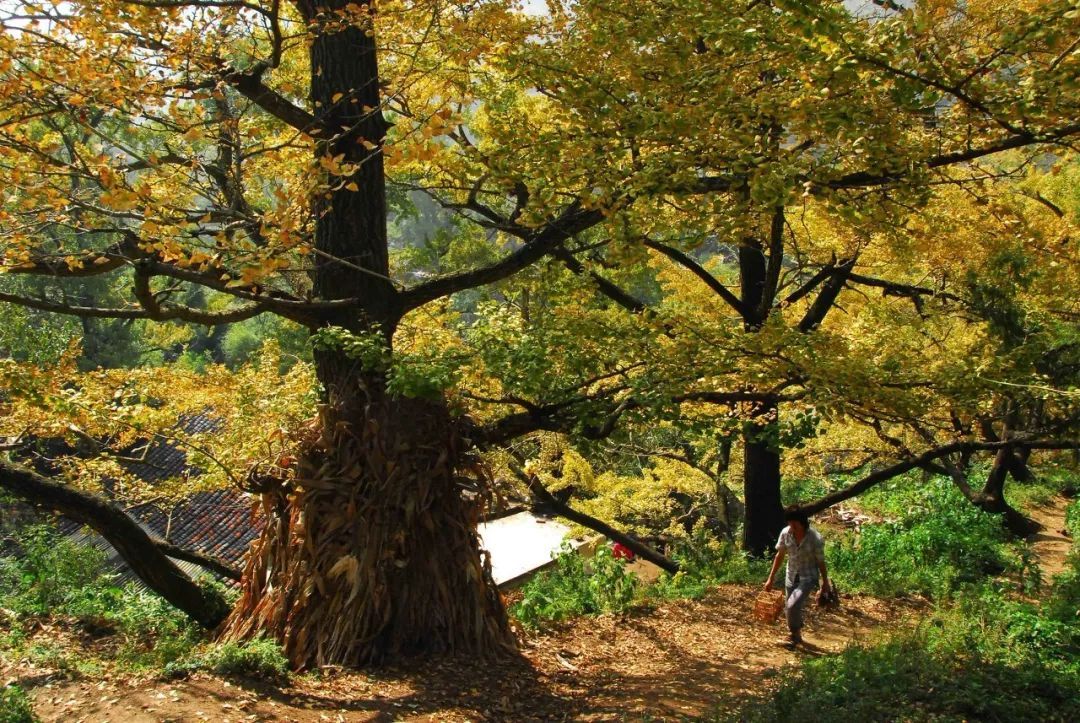 10个藏在深山人不知的古村落，却是世外桃源