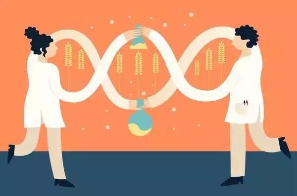 彻底击碎转基因致癌谣言？历时六年、耗资过亿的三大研究发布结果
