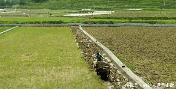 农村这2样东西未来会升值，作用很大，不管你多穷，千万别卖掉！