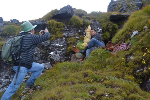 喜马拉雅山最稀有的植物，外观犹如“大白菜”，却比雪莲还罕见！