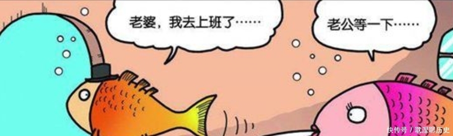 精致|呆头农场:小呆呆为鸟儿制作精致“木假腿”!这就是所谓的金鸡独立吗?
