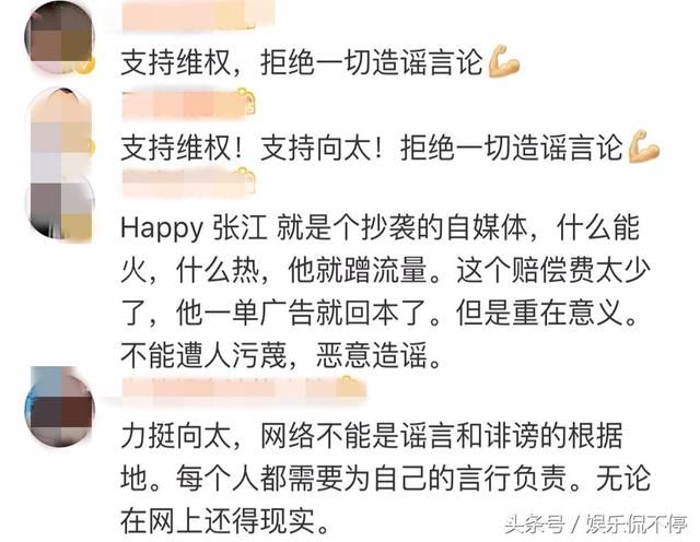 陈岚起诉大v获胜，网友力挺向太，网络不能是谣言和诽谤的根据地